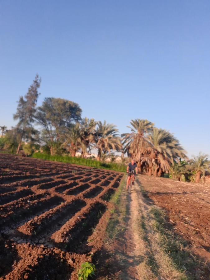 Village Room In The Countryside Al Minya Exterior photo
